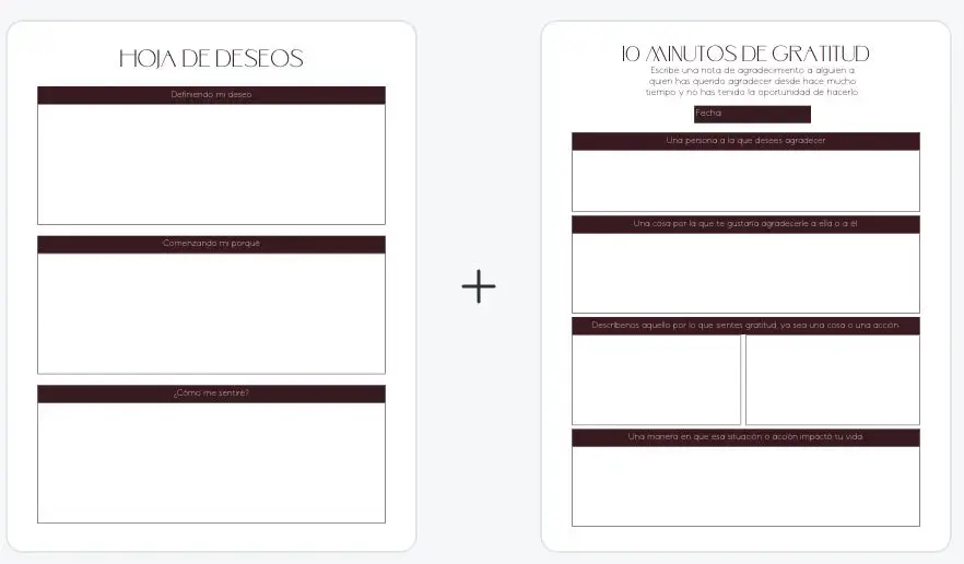 Diario de Manifestación Mi tienda