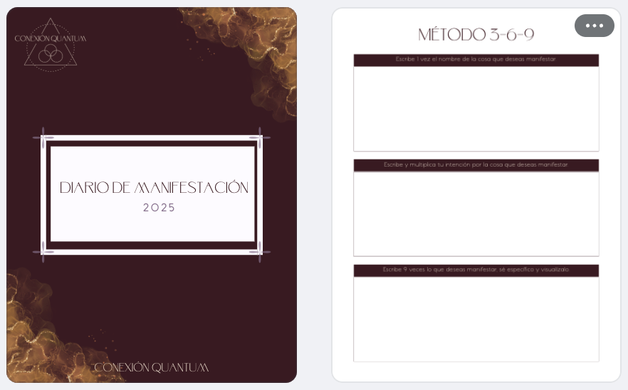 Diario de Manifestación Mi tienda