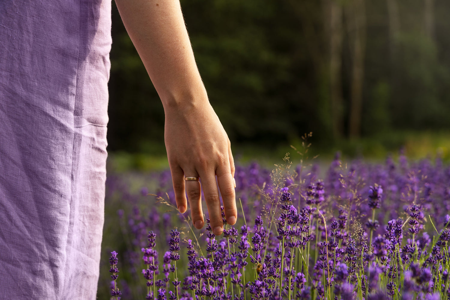 Imagen que evoca introspección, conexión con la tierra y expansión de conciencia. 